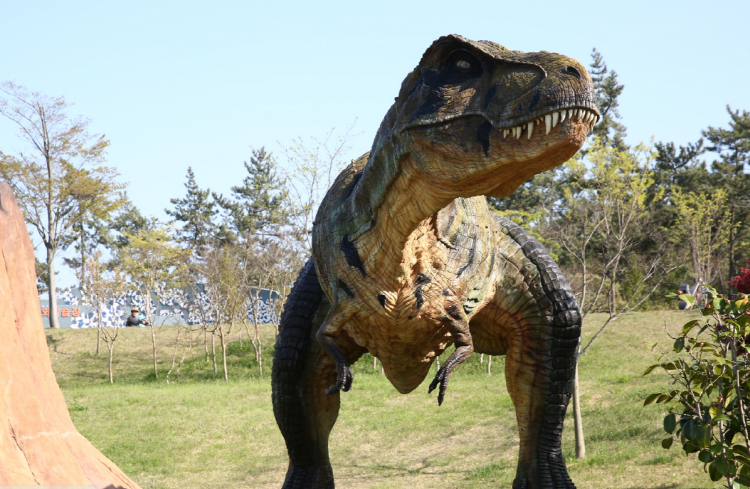 해남 공룡박물관