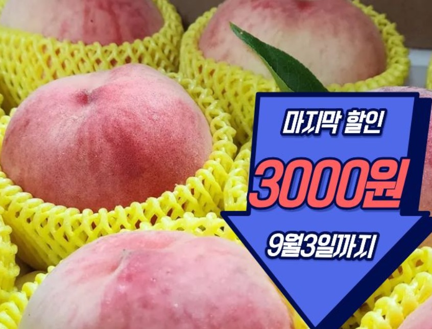 인간극장-영천-복숭아