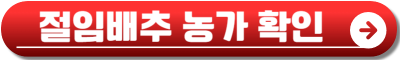 평창김장축제