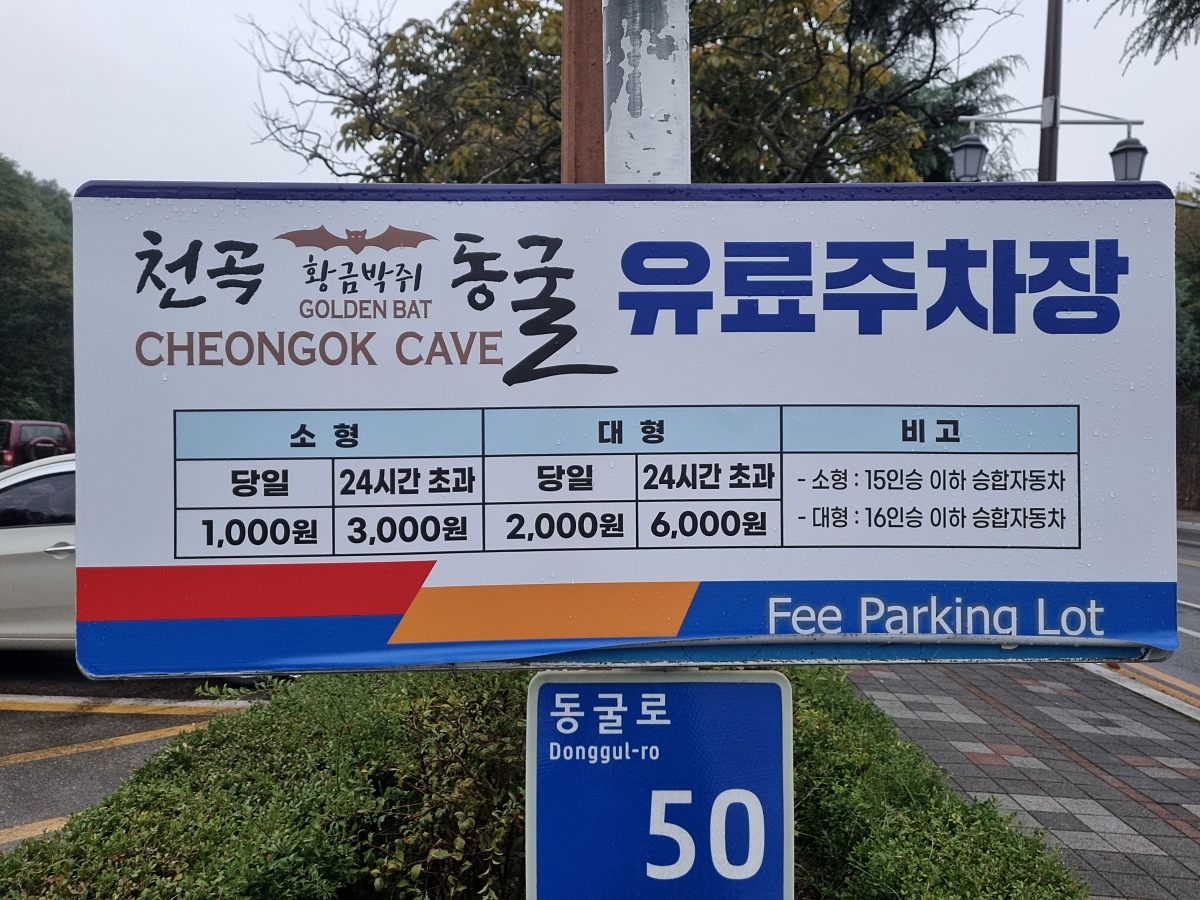 동해 가볼만한곳 천곡황금박쥐동굴 후기 비 오는 날 좋은 실내 여행지
