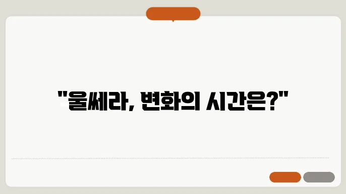 울쎄라 효과 시기