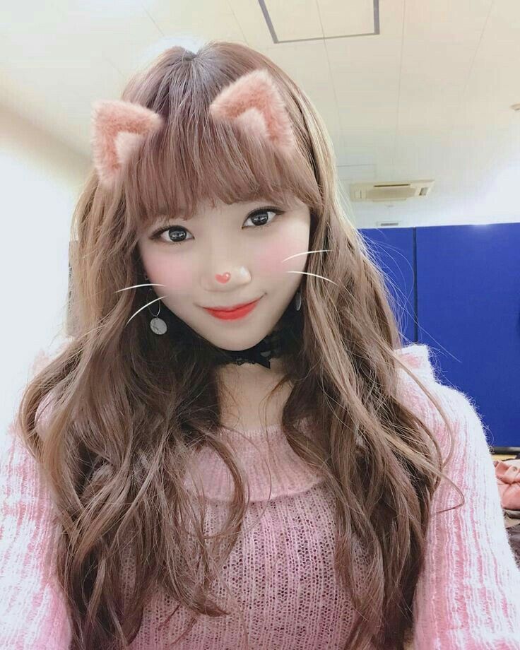 김채원 사진 모음 김채원 사진 모음