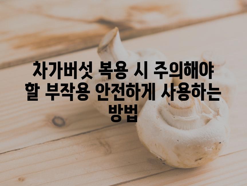 차가버섯 복용 시 주의해야 할 부작용 안전하게 사용하는 방법