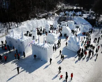 태백산 눈꽃축제_1