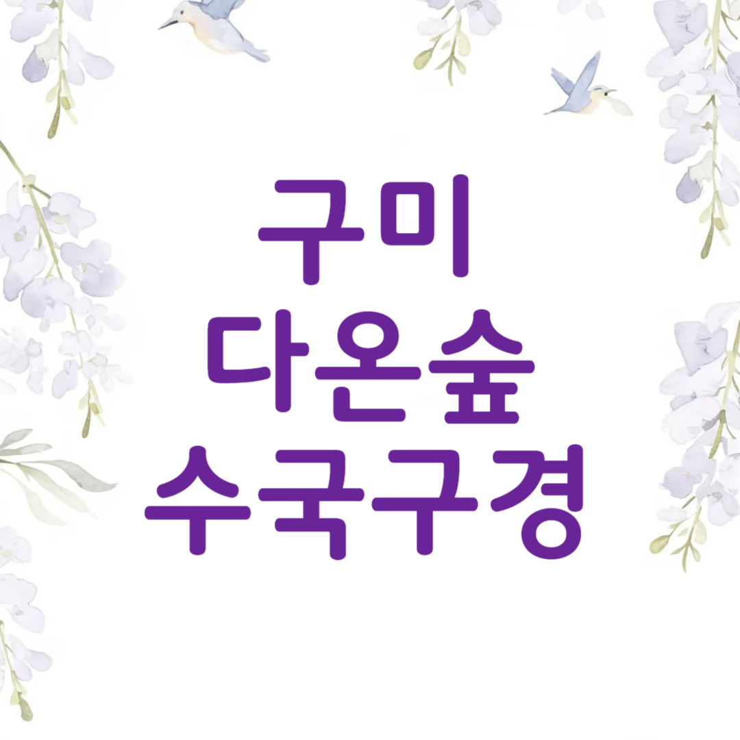 경북 구미 다온숲 수국명소 주차
