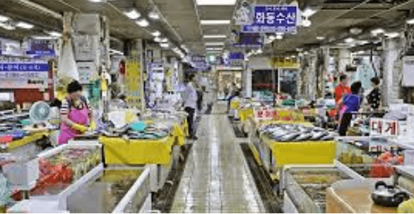 주문진-가볼만한곳-수산시장