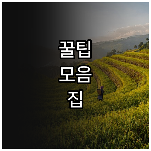 두 자녀 가정 2025 인천 체육시설..