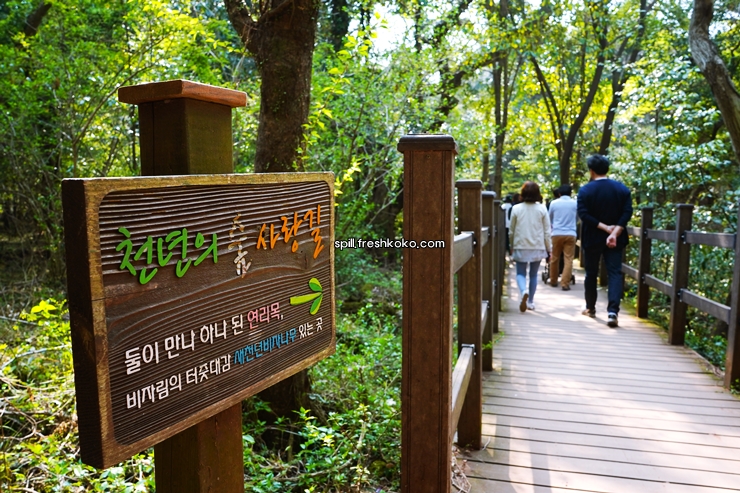 제주도 2박3일 여행코스 추천