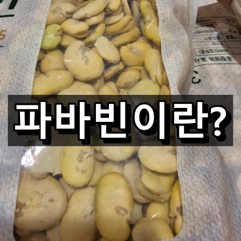 파바빈이란 대표 이미지