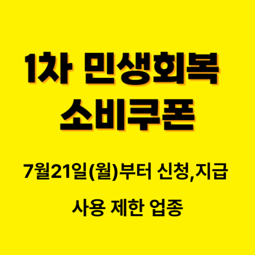 1차 민생회복 소비쿠폰, 사용 제한 업종