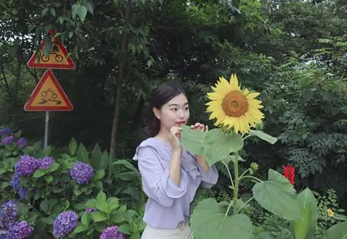 느러지전망관람대