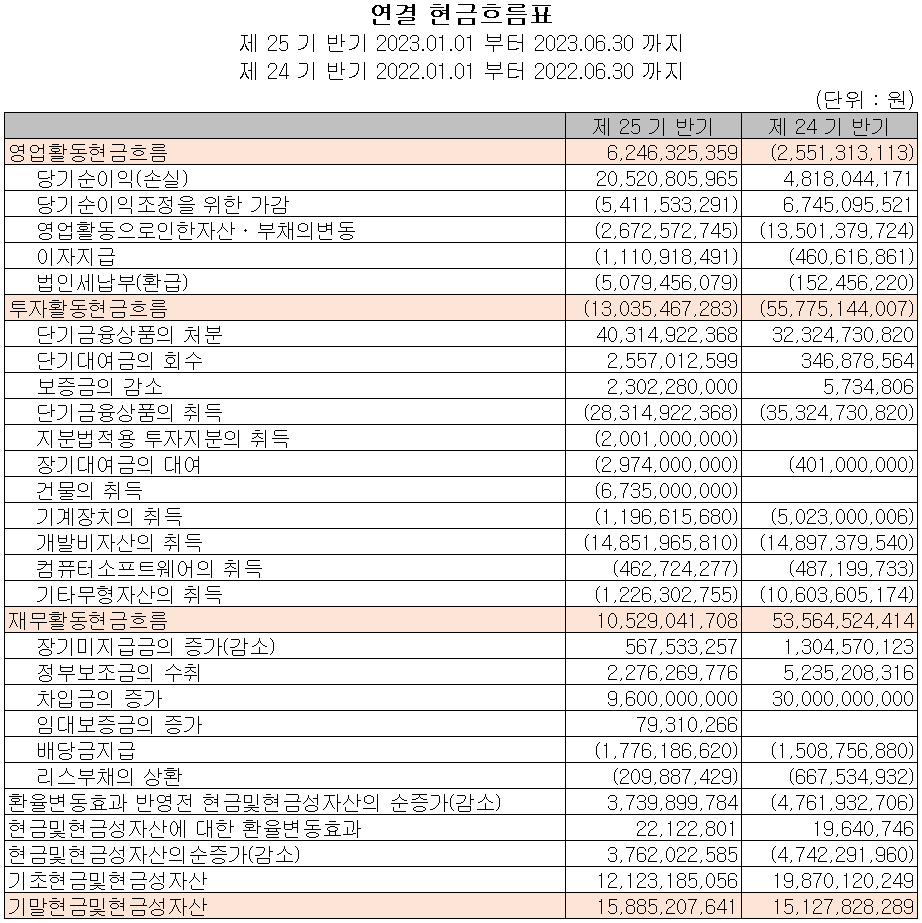 텔레칩스 - 현금흐름표