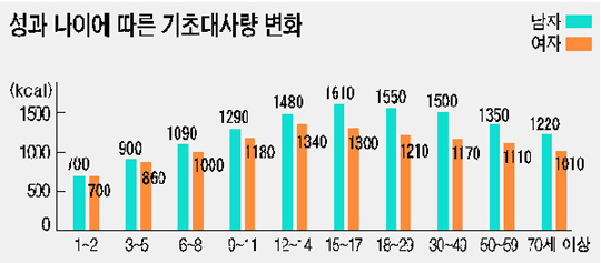 성과 나이에 따른 기초대사량
