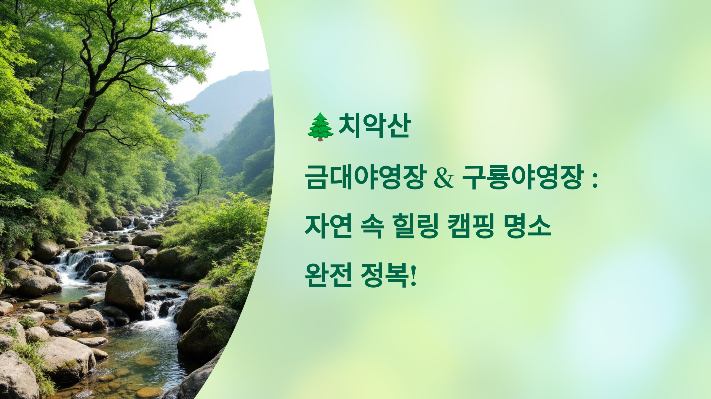 🌲치악산 금대야영장 &amp; 구룡야영장: 자연 속 힐링 캠핑 명소 완전 정복!