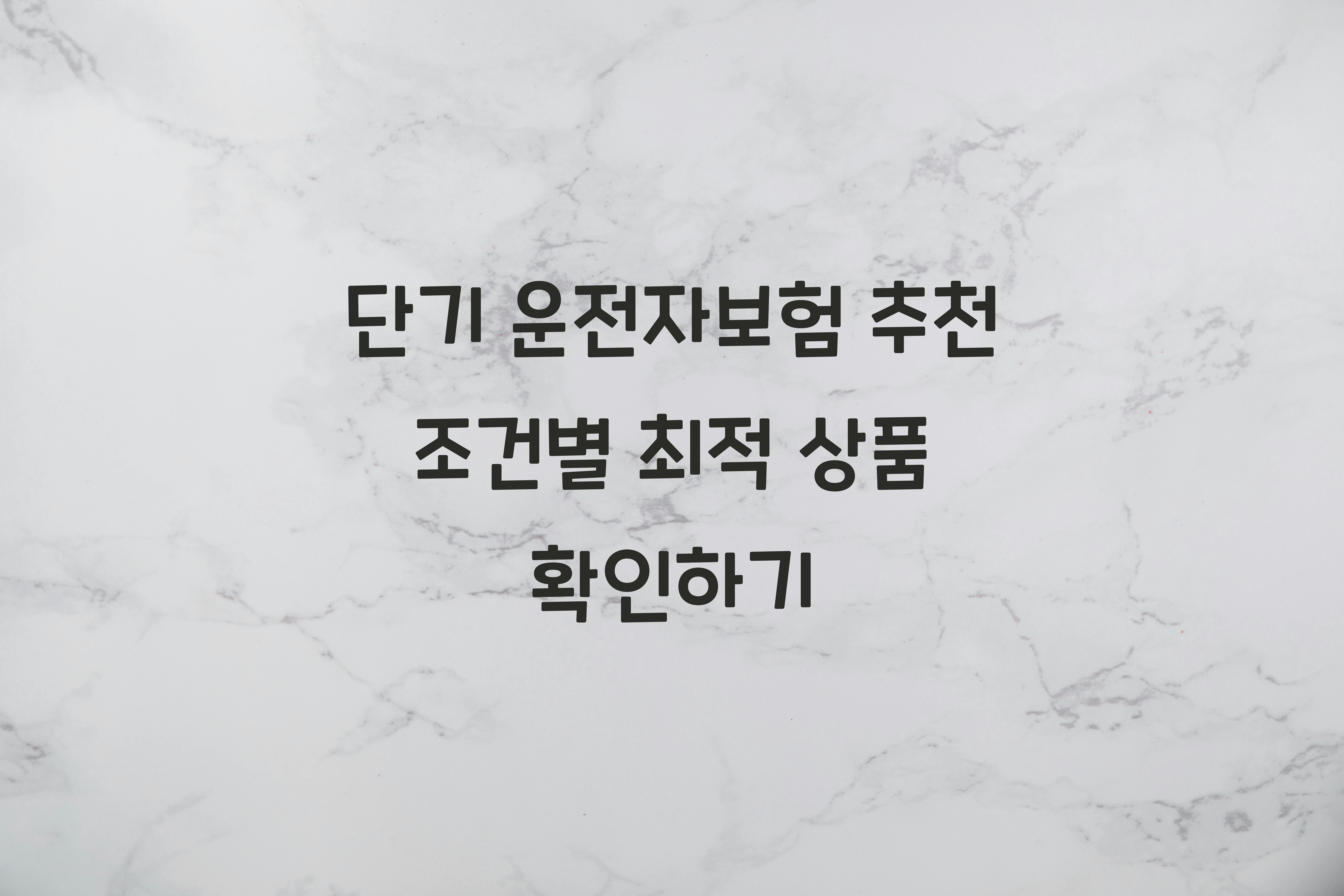 단기 운전자보험 추천