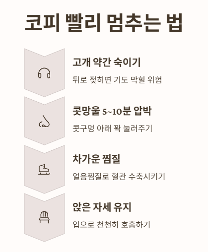 코피 빨리 멈추는 법