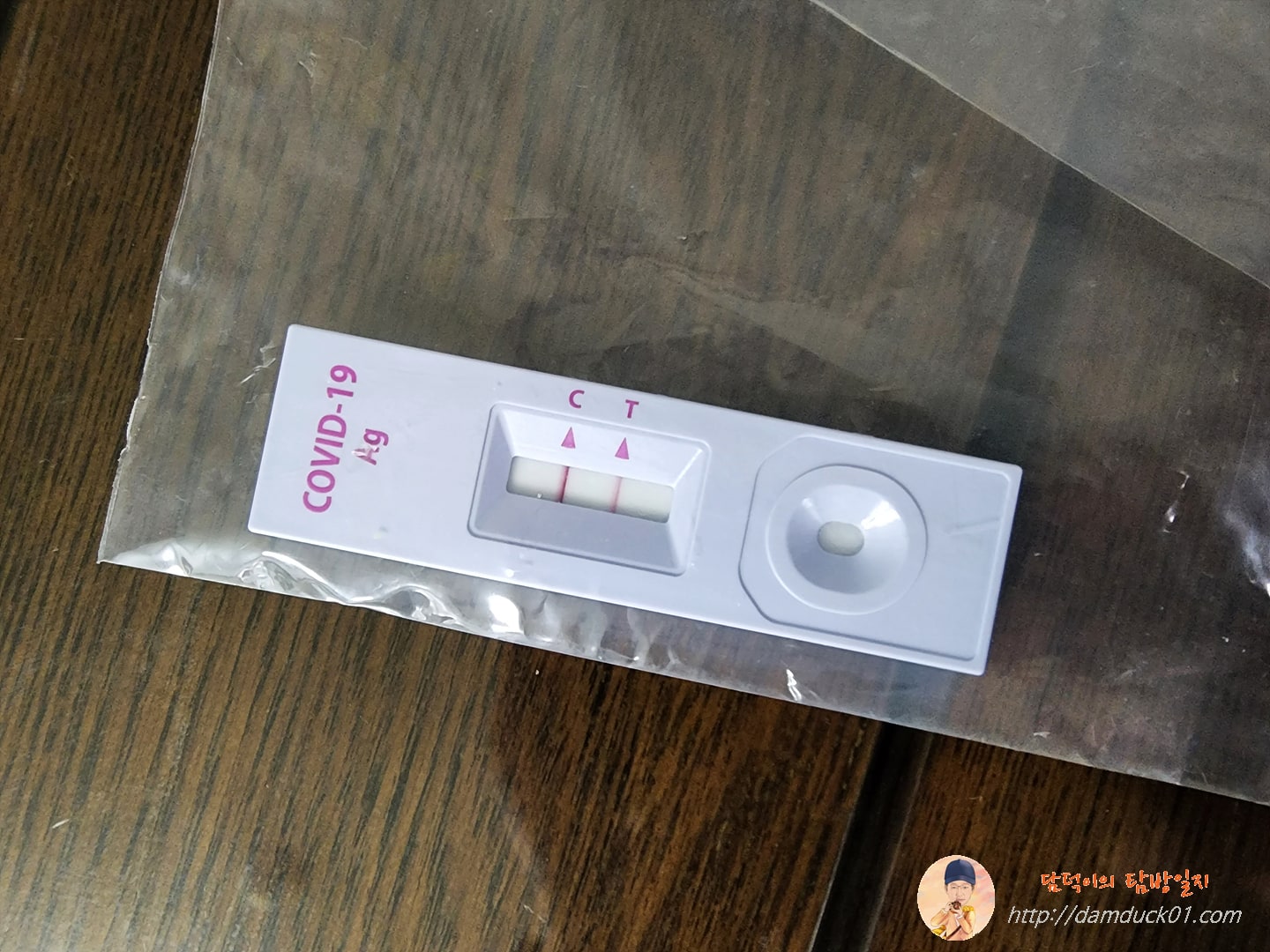 자가검사키트 두 줄