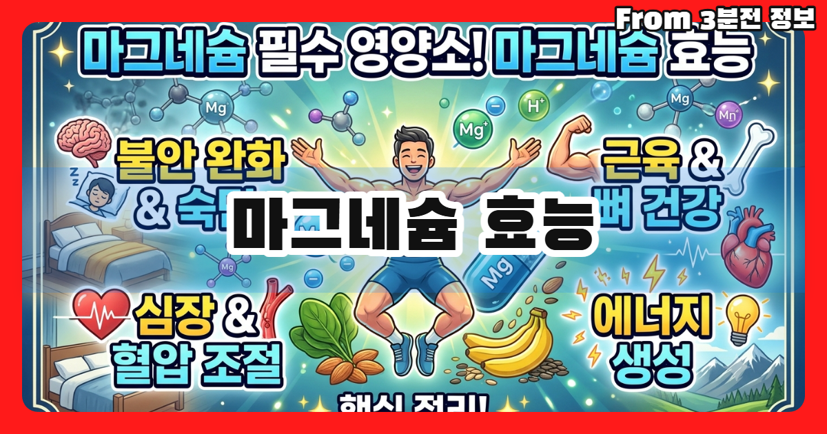 마그네슘 효능 알아보기