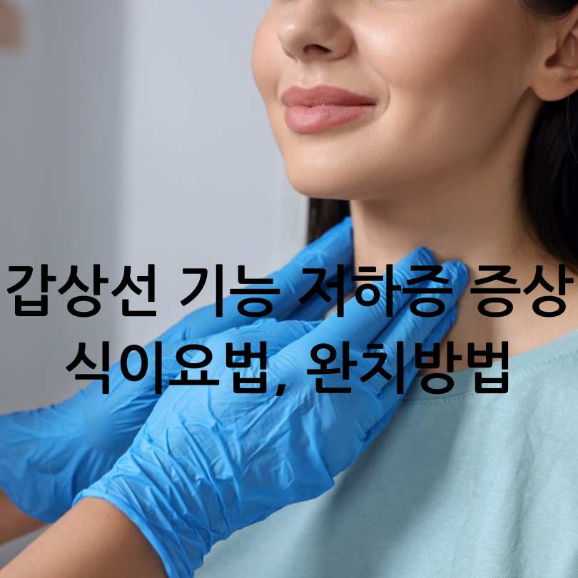 갑상선 기능 저하증 증상과 식이요법, 완치방법