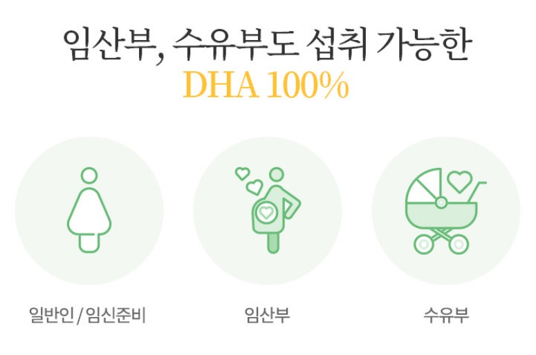 수험생 영양제-DHA