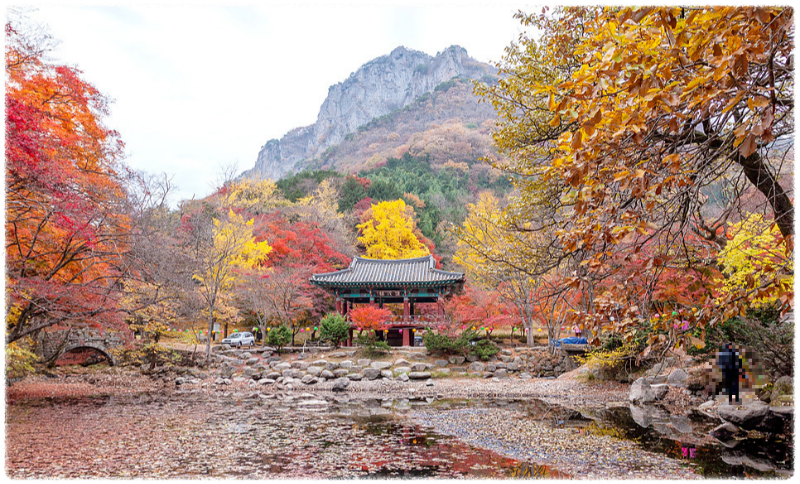 단풍명소