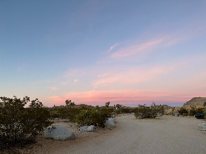 2025 충청권 청년 지원금 총정리