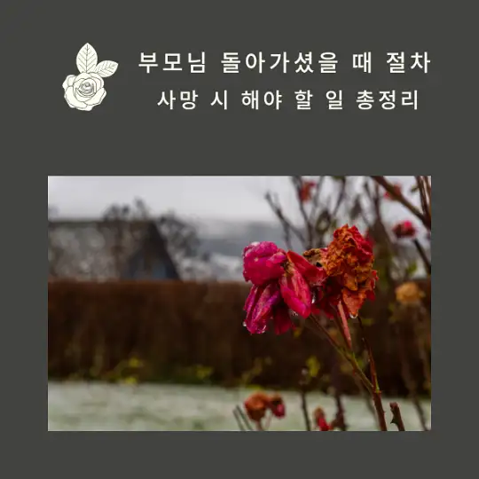 부모님 돌아가셨을 때 절차