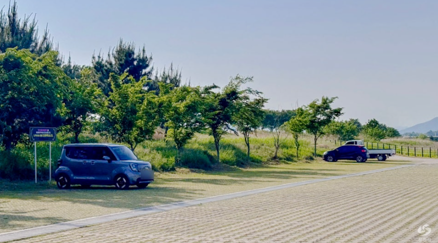 창원 대산플라워랜드 꽃구경 명소, 개화시기부터 주차팁까지 정리!