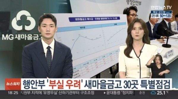 새마을금고 뱅크런