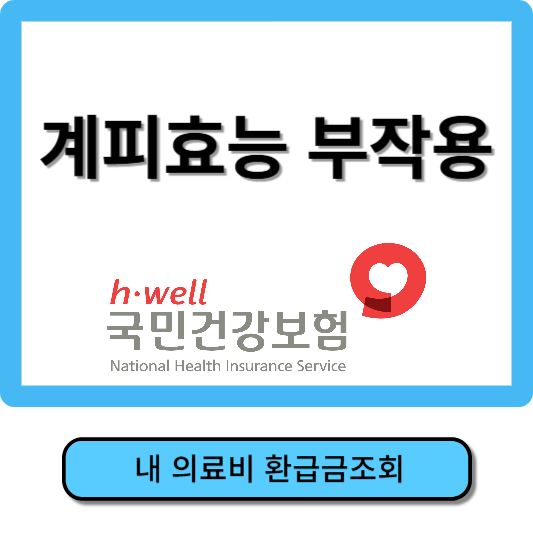 계피효능과 부작용