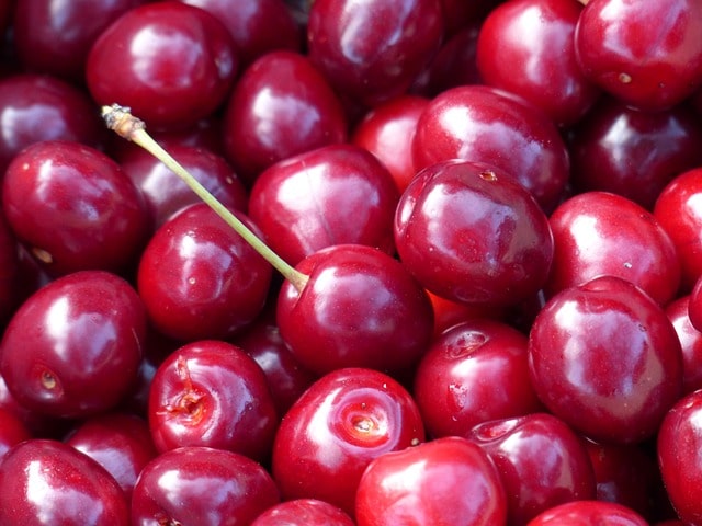 관절염에좋은음식