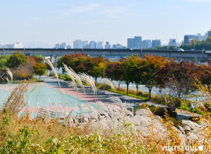 서울 단풍 명소 베스트 6