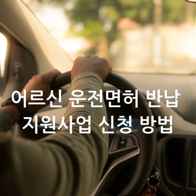 운전면허 반납 어르신 지원