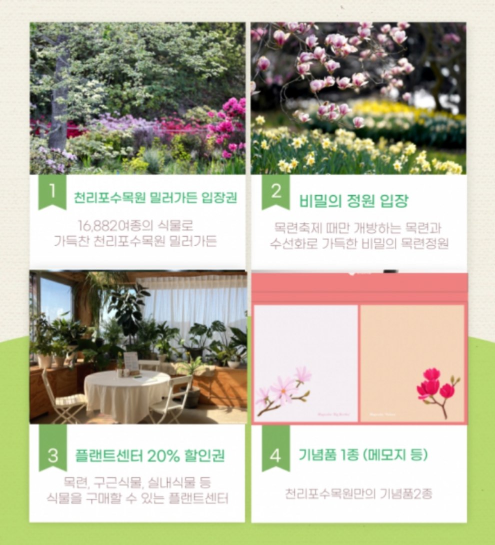 천리포수목원 목련축제