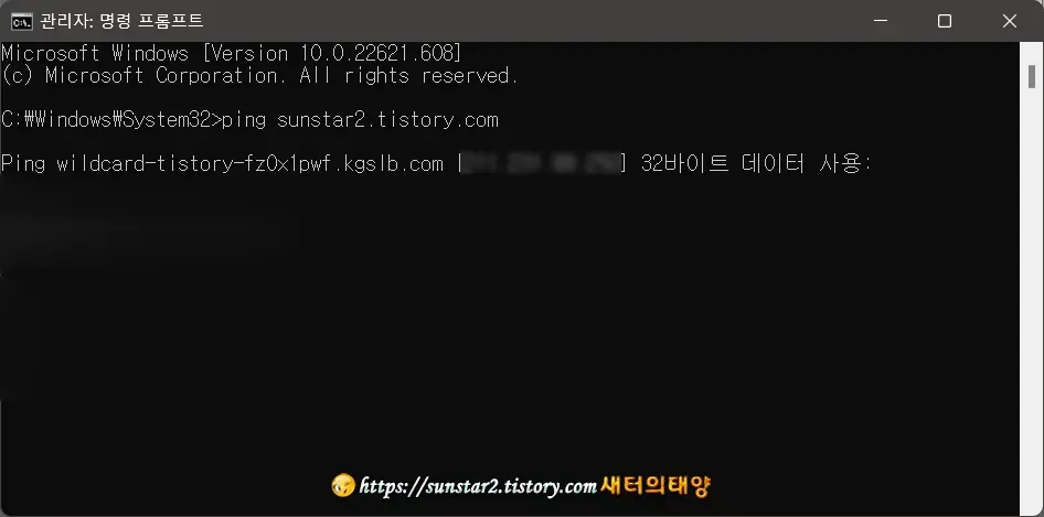 웹사이트 IP 주소 알아내는 방법_2