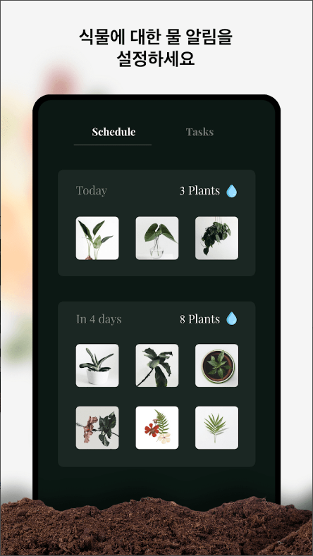 식물 이름 찾기 어플, 식물 찾아보기