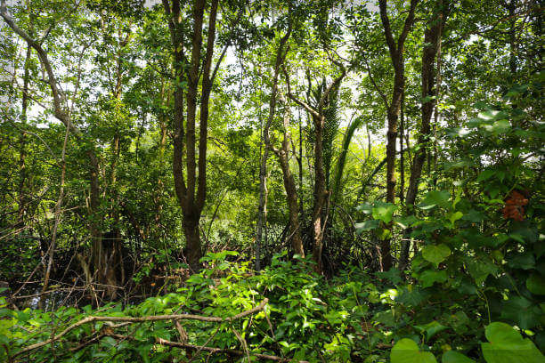 화담숲 데이트 코스 완벽 가이드: 자연 속 힐링과 맛집 탐방