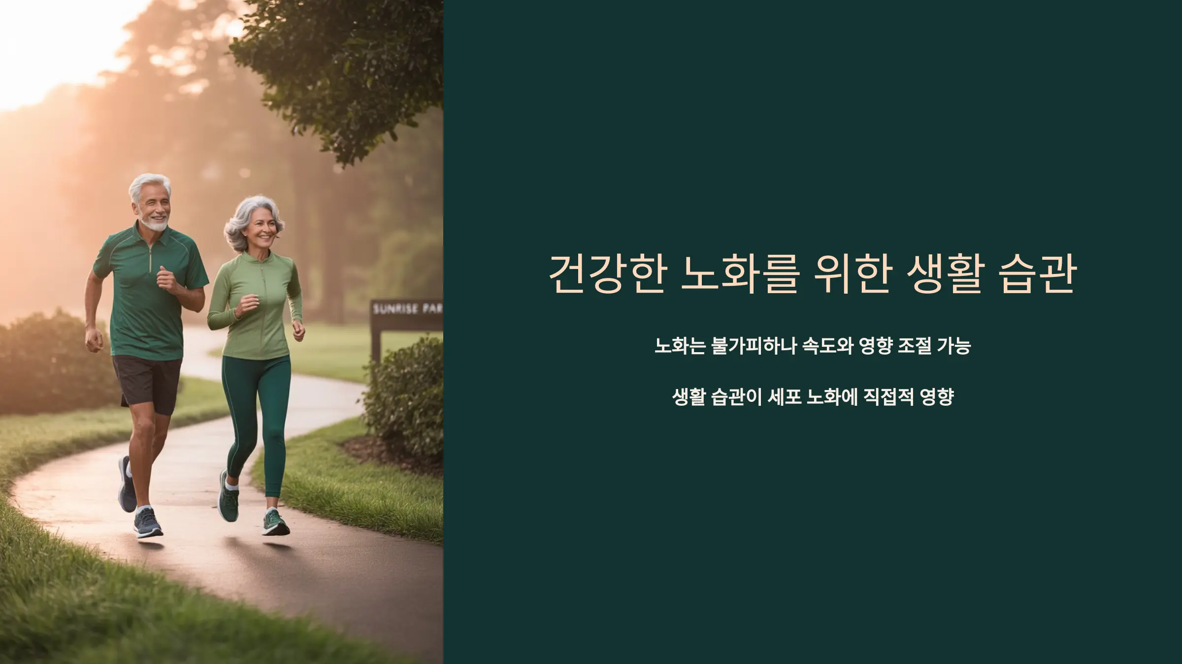 노화를 늦추는 생활 습관과 실천 방법