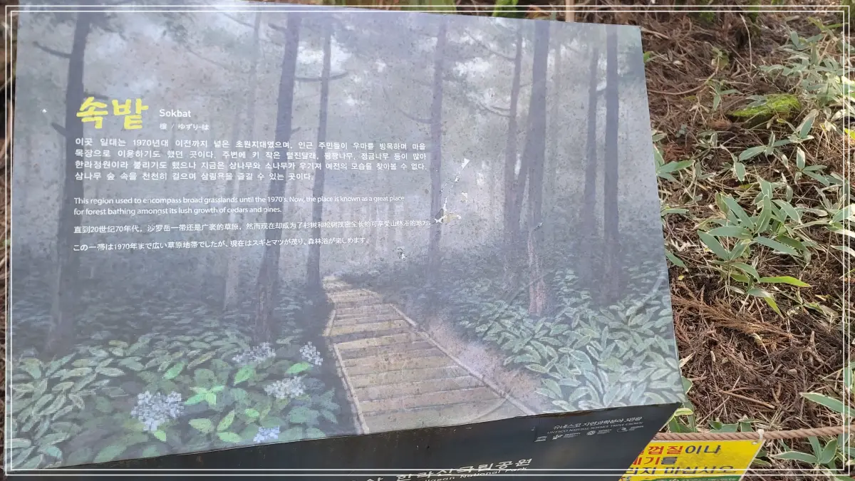 속밭 안내