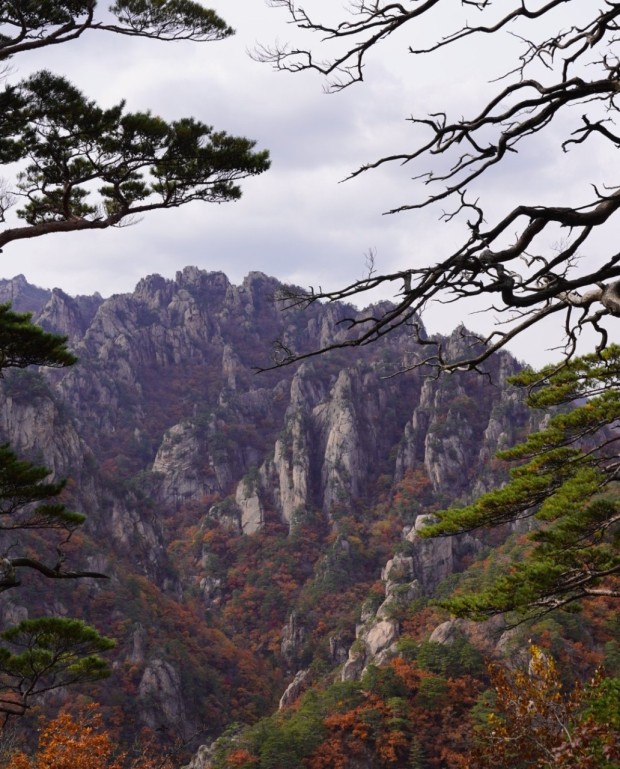 설악산 단풍시기