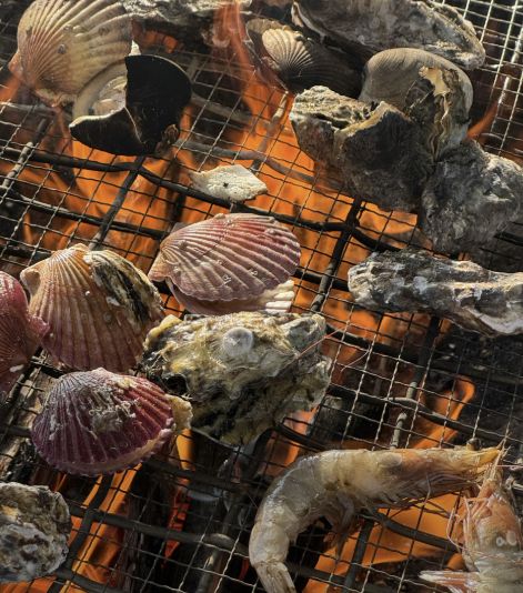 경남 사천 굴찜·굴구이 맛집 | 생방송투데이 나온 섬마을굴구이