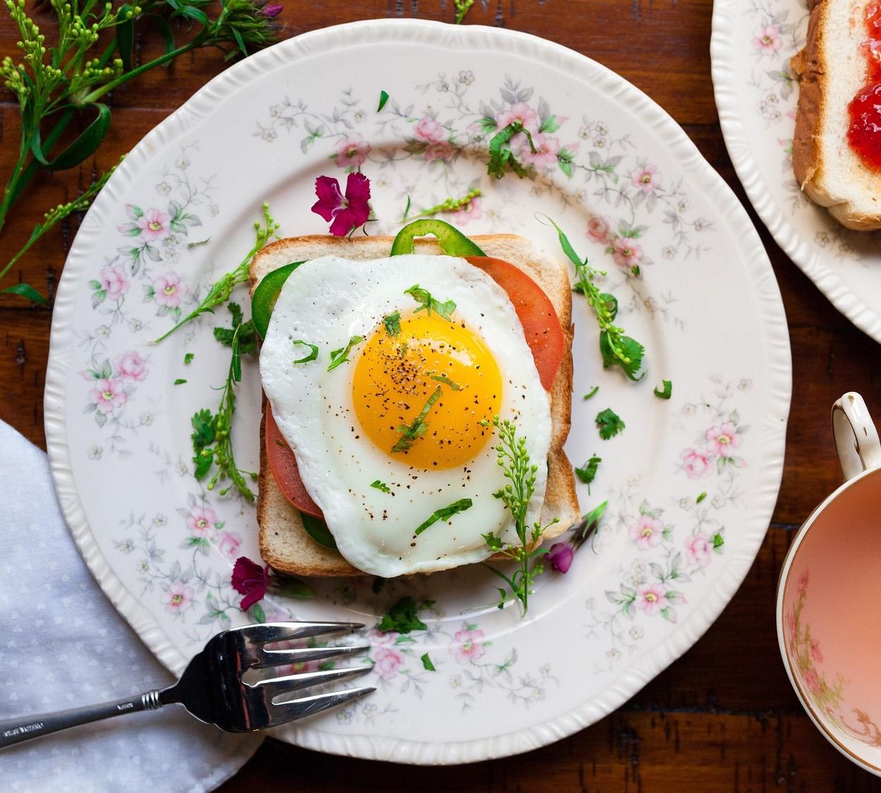 단백질의-왕-계란