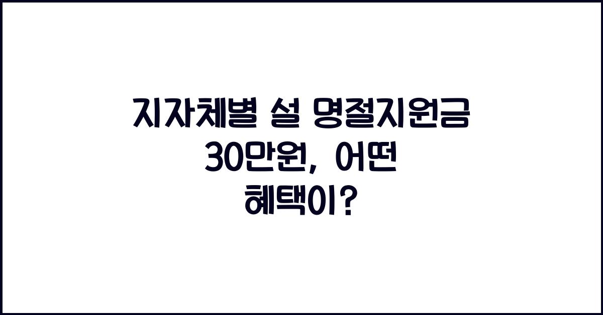지자체별 설 명절지원금 30만원