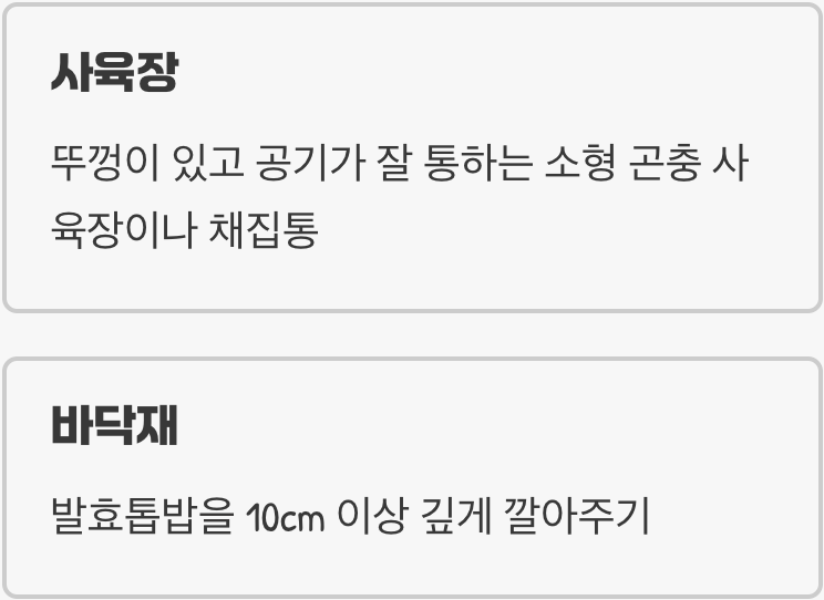 시원한 숲속 집 꾸미기, '사육장 세팅'