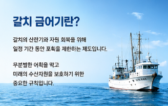 갈치 금어기 2026 최신 정리, 올해 7월에도 잡아도 될까 유예 내용까지 한눈에5