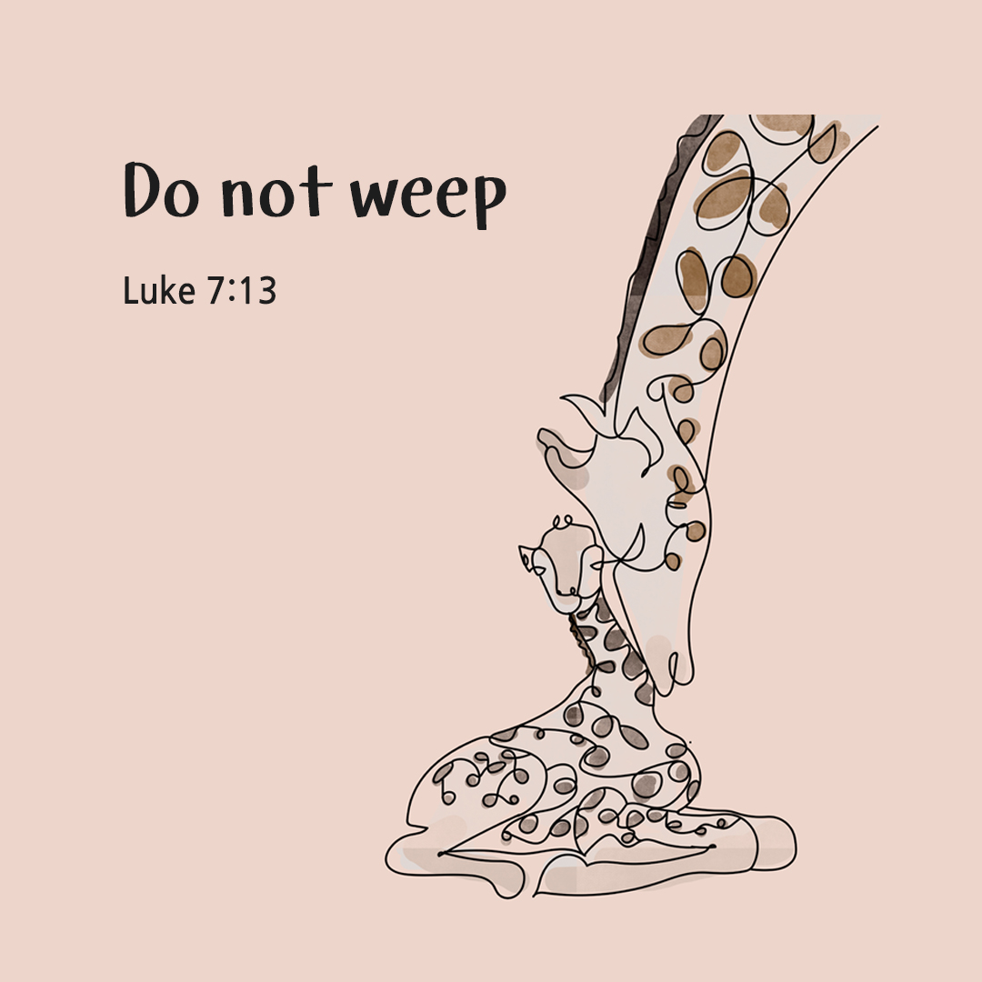 When the Lord saw her, he was moved with pity for her and said to her, “Do not weep.” (Luke 7:13) by pieonane Daily Bible quote image