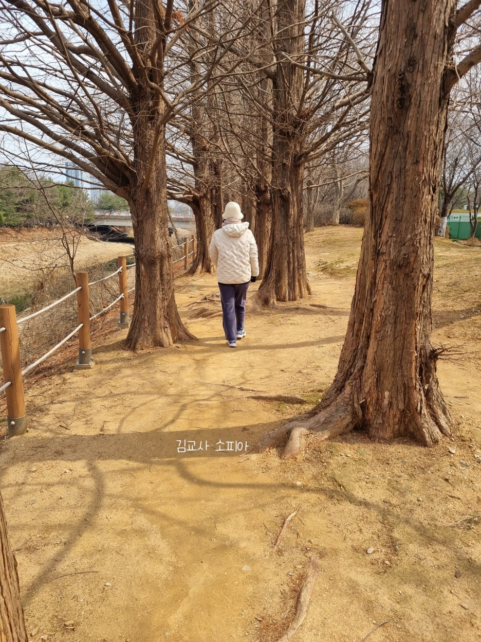 고양피크닉시민 공원 이용 후기 🏞️🌿& 팁