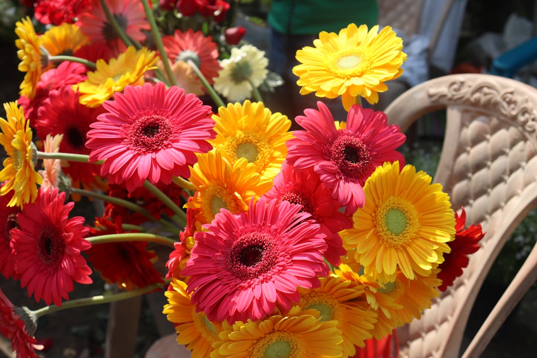 Jeju Flower Festival