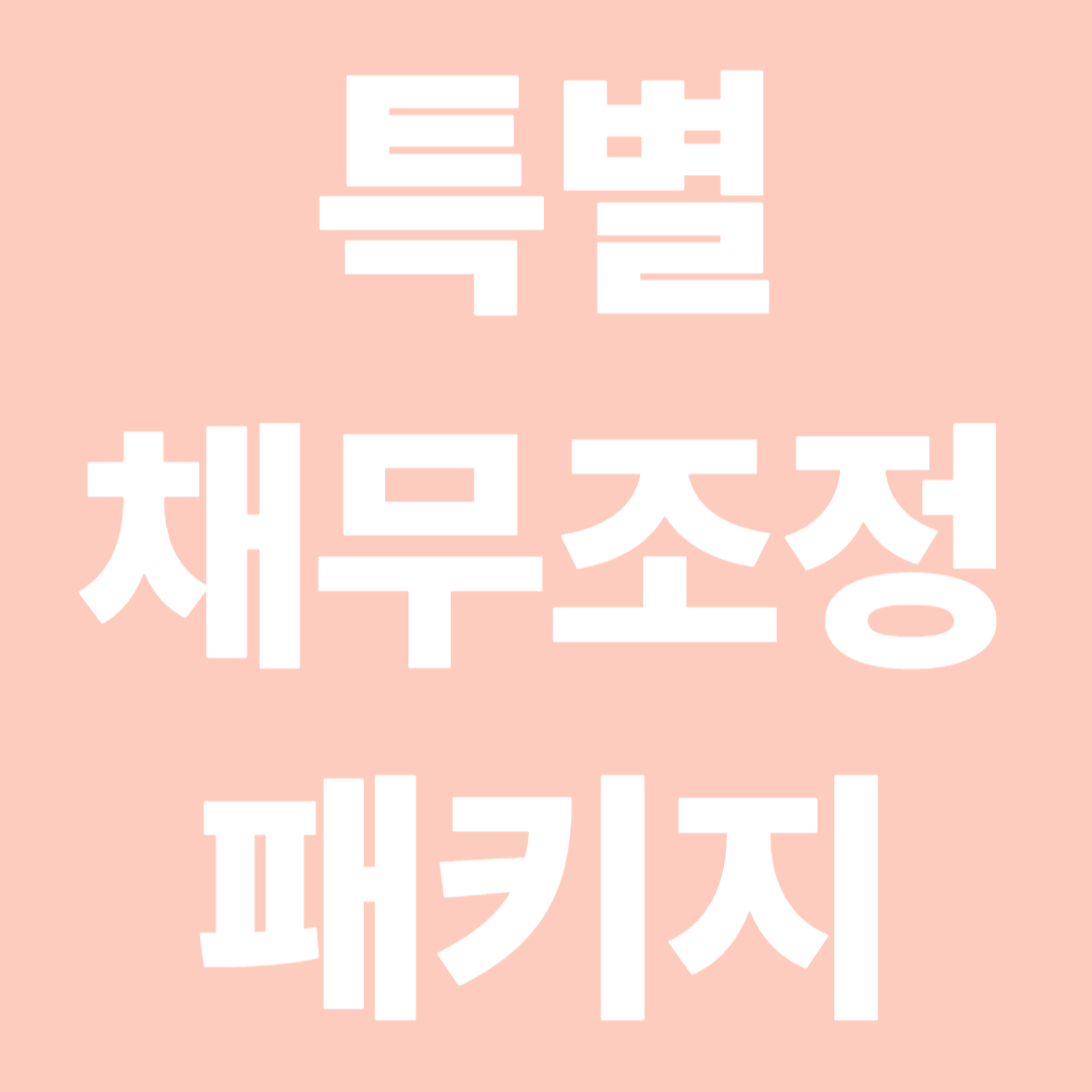 특별 채무조정 패키지