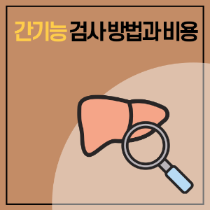 간기능 검사의 비용
